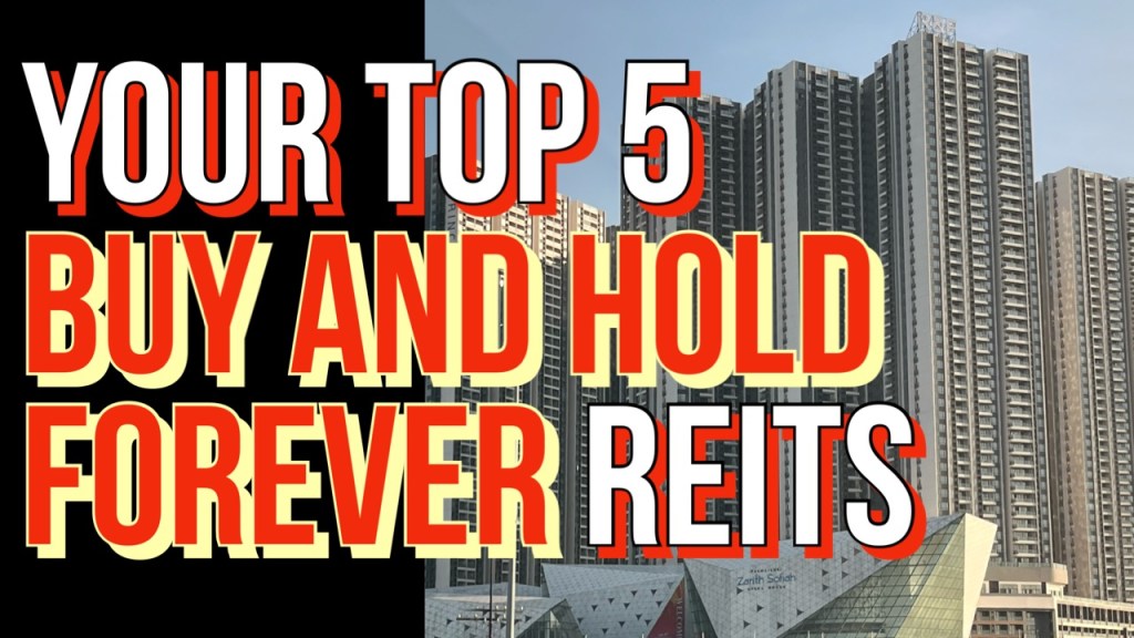TOP 5 Buy-and-Hold-FOREVER REITs – Survey Results&nbsp;#SREITs